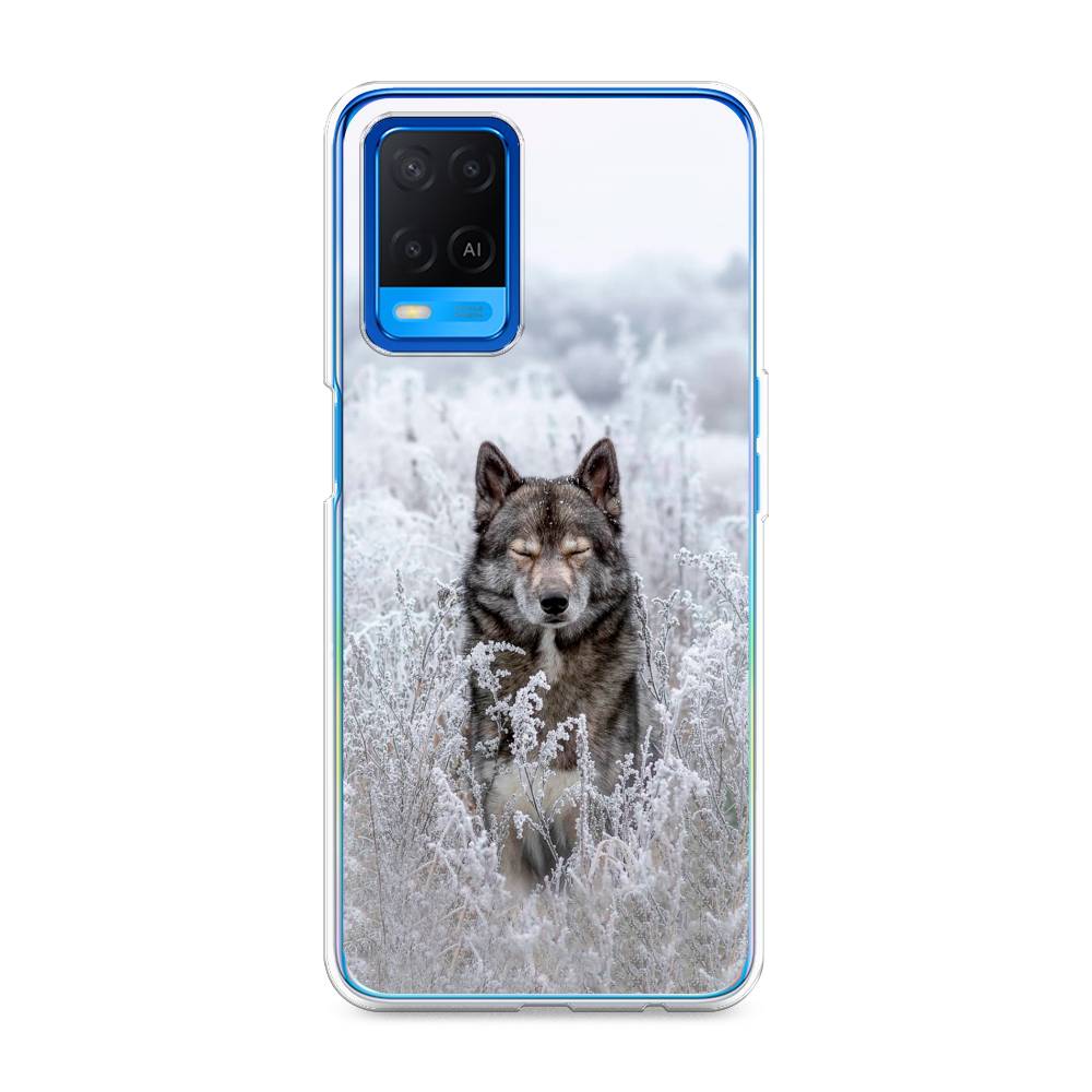

Чехол Awog на Oppo A54 "Волк в поле", Разноцветный, 256150-1