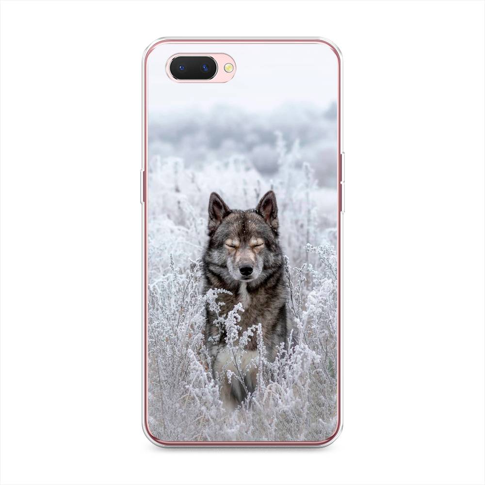 

Чехол Awog на Oppo A3s "Волк в поле", Разноцветный, 252050-1