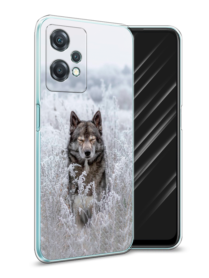 

Чехол Awog на OnePlus Nord CE 2 Lite 5G / ВанПлас Норд CE 2 Lite 5G "Волк в поле", Разноцветный, 152850-1