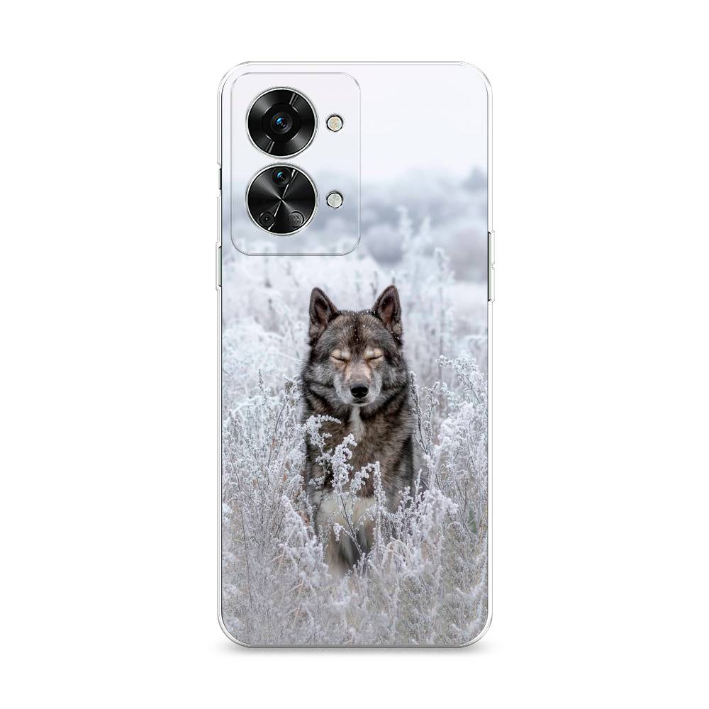 

Чехол Awog на OnePlus Nord 2T / ВанПлас Норд 2T "Волк в поле", Разноцветный, 153250-1
