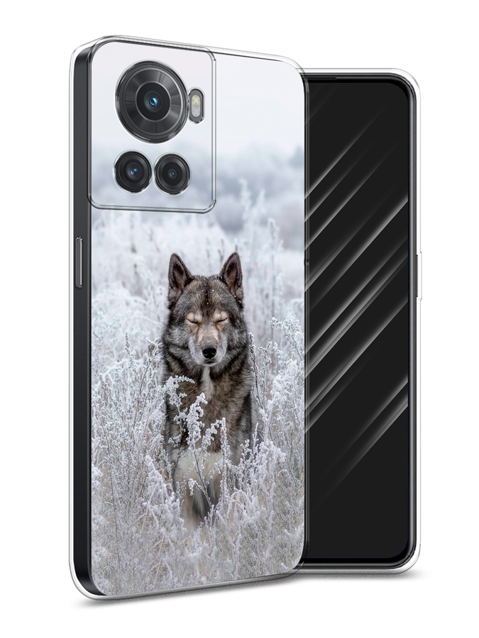 

Чехол Awog на OnePlus Ace / ВанПлас Ace "Волк в поле", Разноцветный, 153050-1