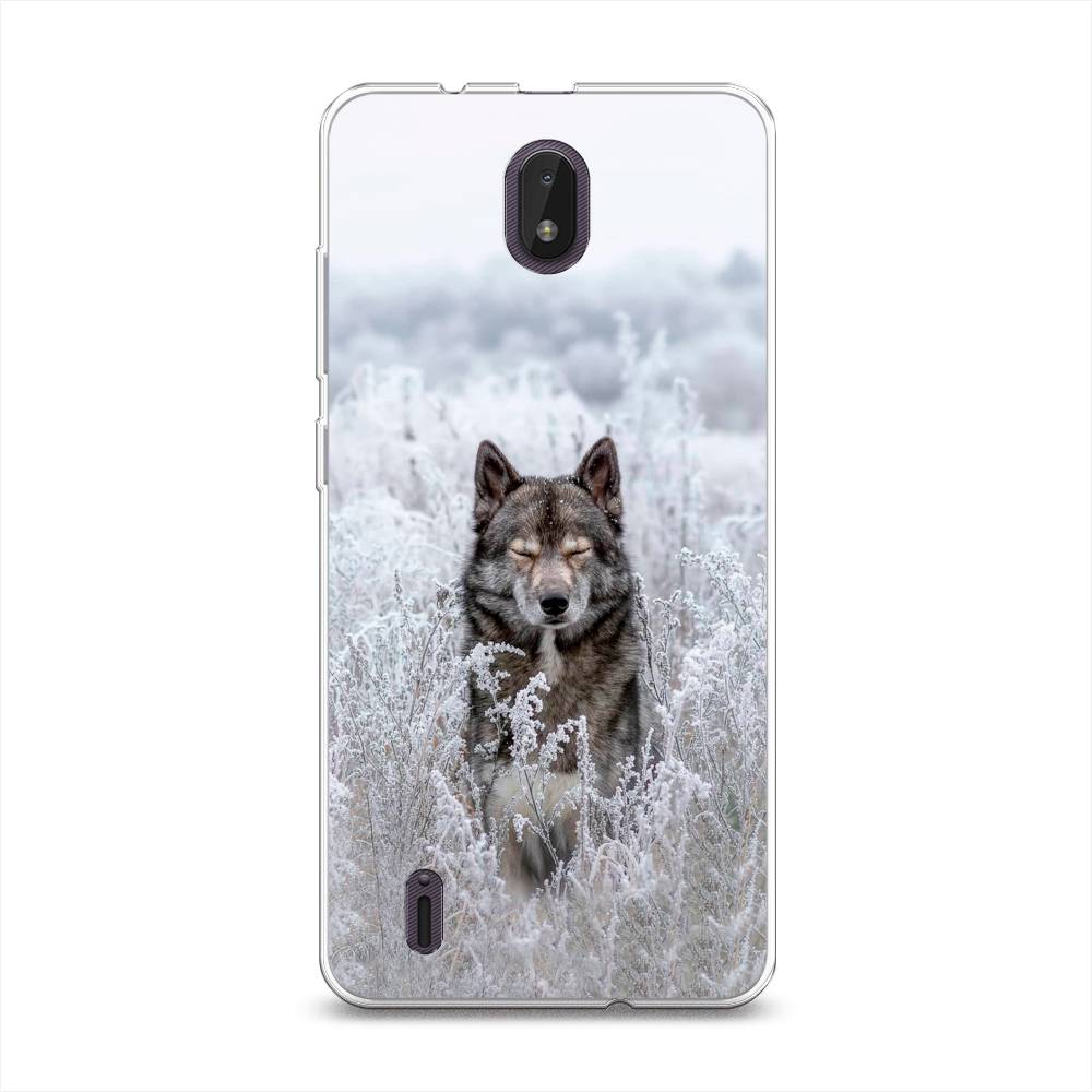 

Чехол Awog на Nokia C01 Plus / Нокиа C01 Плюс "Волк в поле", Разноцветный, 125250-1