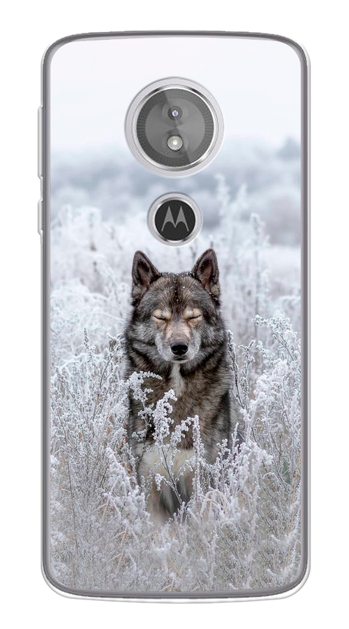

Чехол Awog на Motorola Moto G6 Play / Моторола Мото G6 Плэй "Волк в поле", Разноцветный, 240950-1