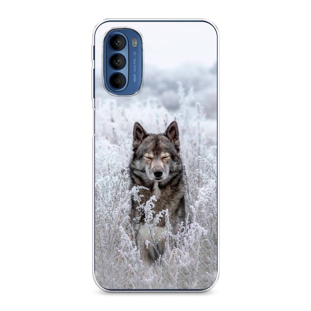 

Чехол Awog на Motorola Moto G31/G41 "Волк в поле", Разноцветный, 242550-1