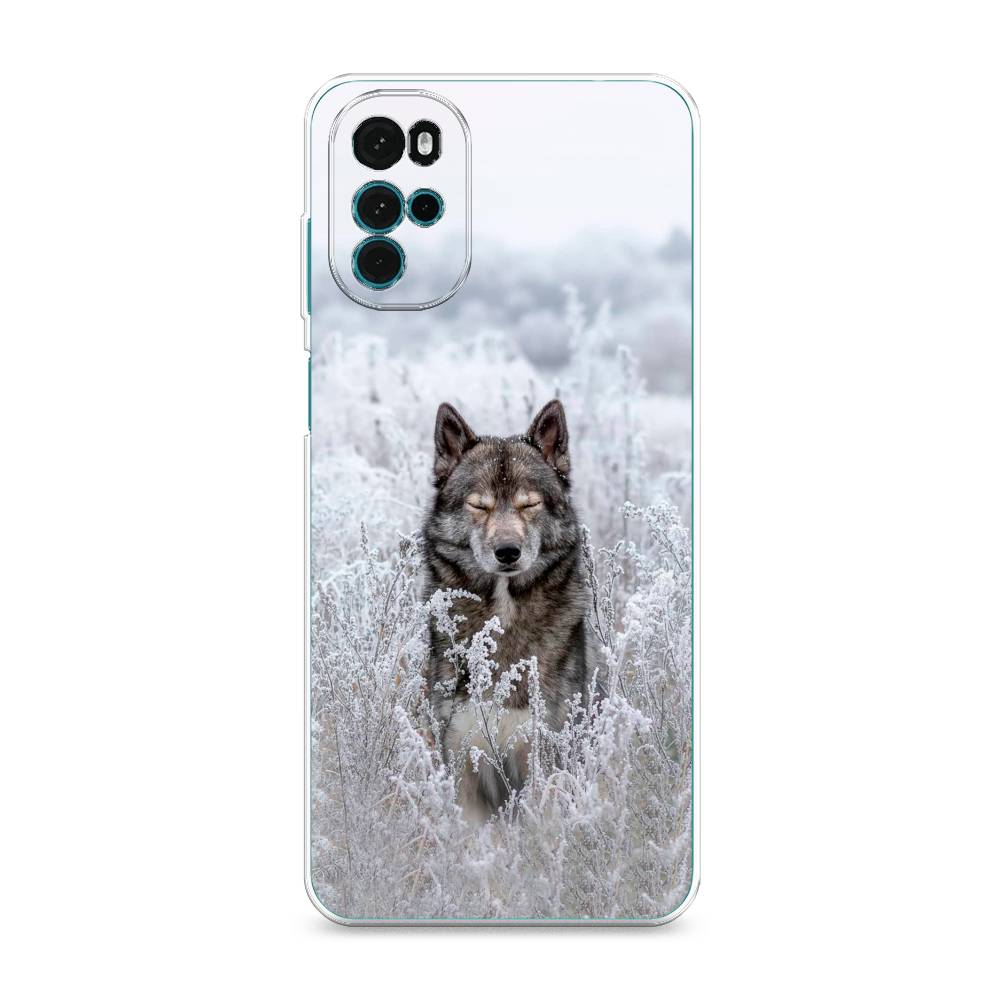 фото Силиконовый чехол "волк в поле" на motorola moto g22 awog