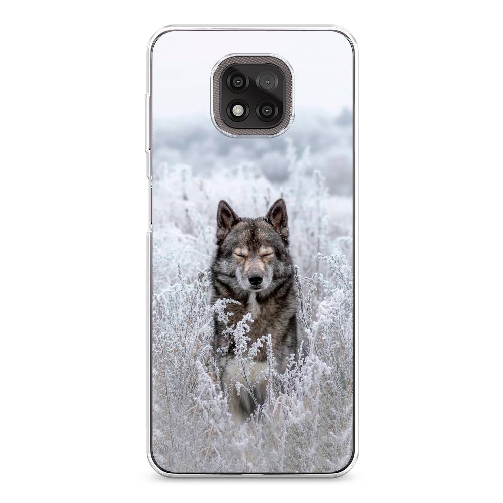 

Чехол Awog на Motorola Moto G Power 2021 "Волк в поле", Разноцветный, 242750-1