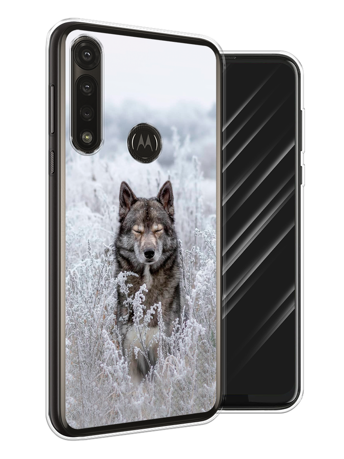 

Чехол Awog на Motorola Moto G Power 2020 "Волк в поле", Разноцветный, 242650-1