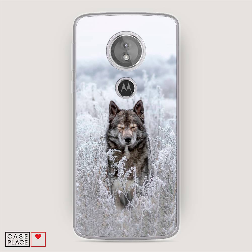 

Чехол Awog на Motorola Moto E5 / Моторола Мото E5 "Волк в поле", Разноцветный, 241050-1