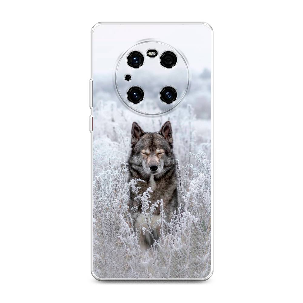 

Чехол Awog на Huawei Mate 40E Pro "Волк в поле", Разноцветный, 6107550-1