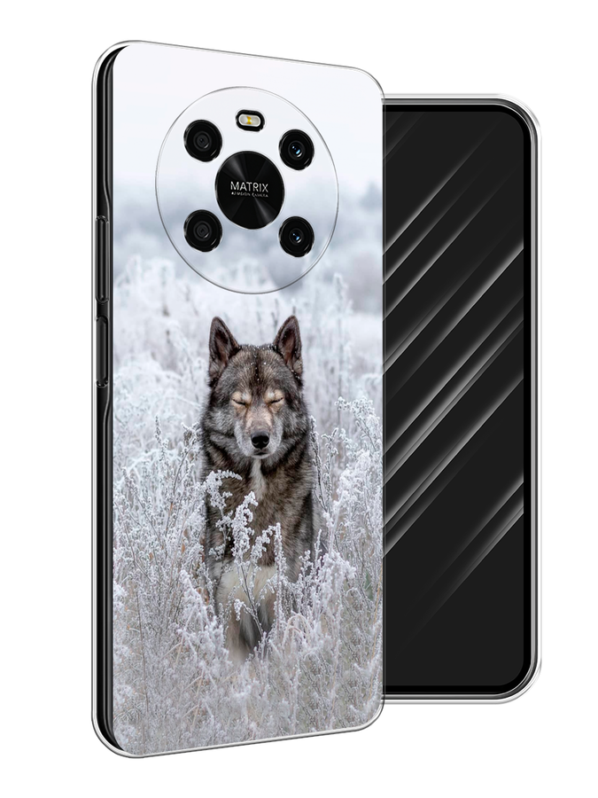 

Чехол Awog на Honor X9 4G/Magic4 Lite 4G "Волк в поле", Разноцветный, 6108150-1