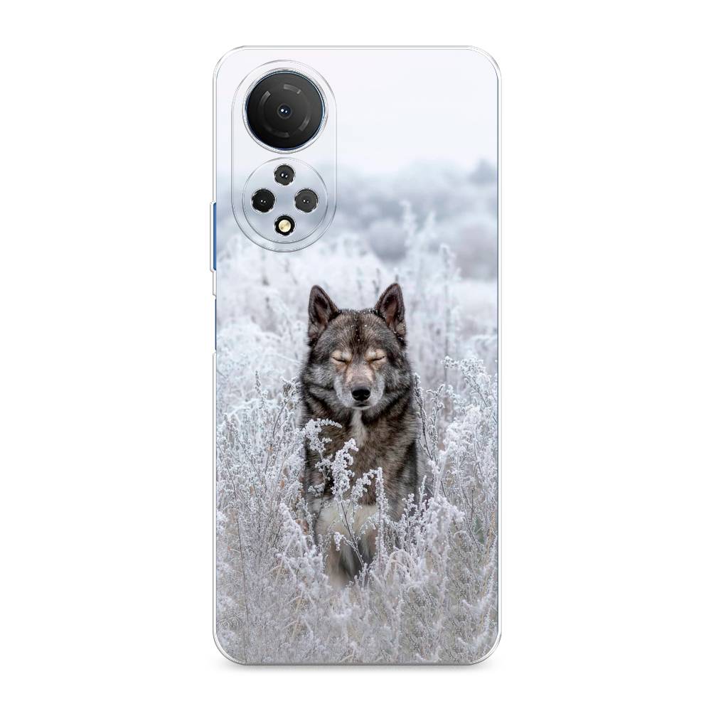 фото Силиконовый чехол "волк в поле" на honor x7 awog
