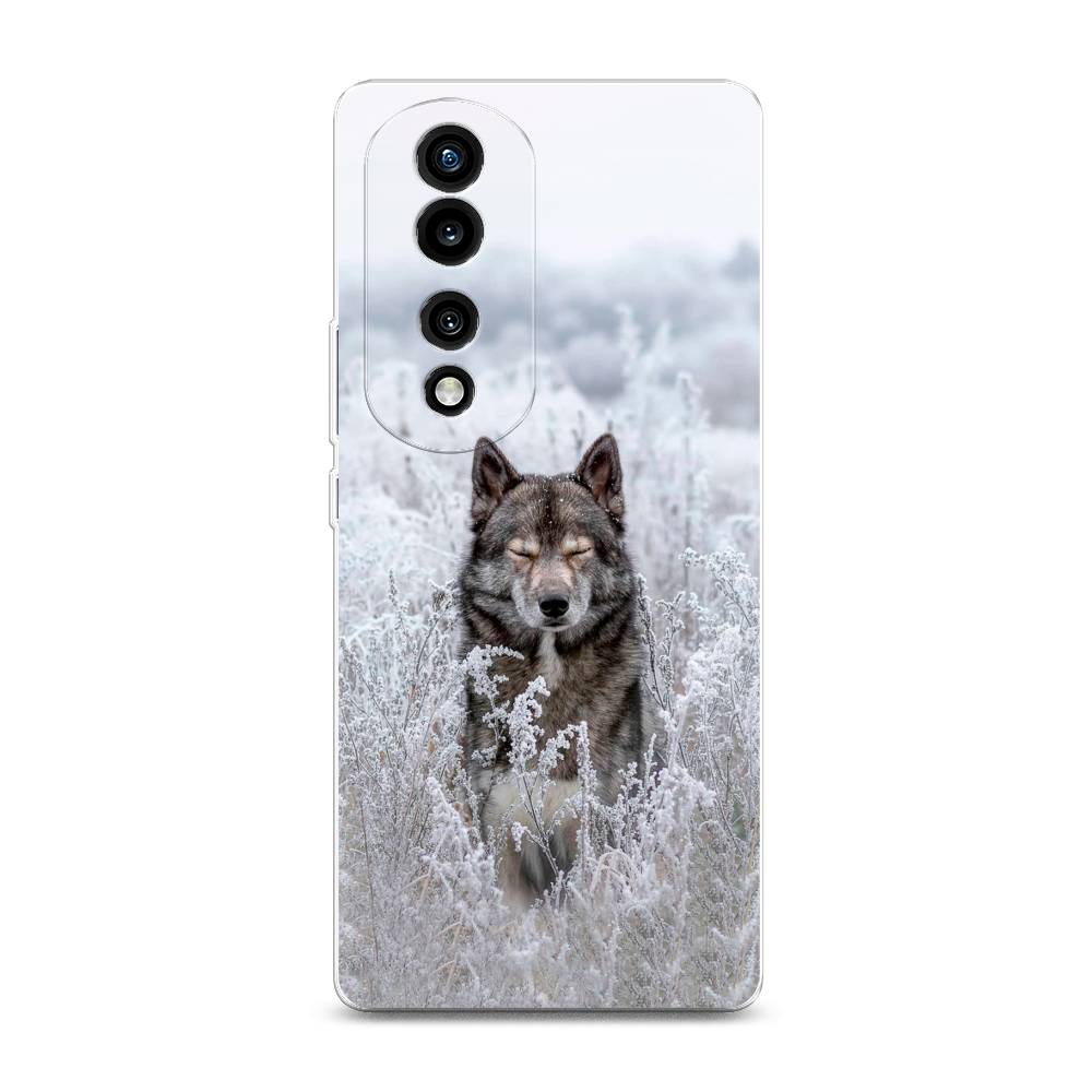 

Силиконовый чехол "Волк в поле" на Honor 70 Pro, 6108350-1