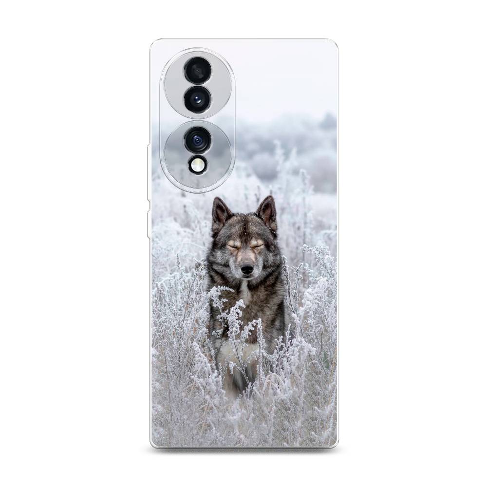 фото Силиконовый чехол "волк в поле" на honor 70 awog