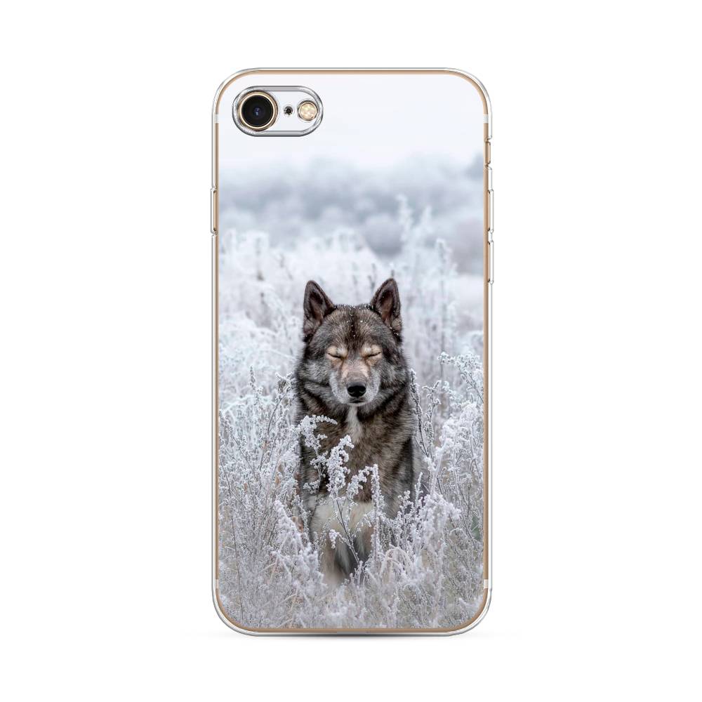 

Чехол Awog на Apple iPhone 8 / Айфон 8 "Волк в поле", Разноцветный, 10850-1