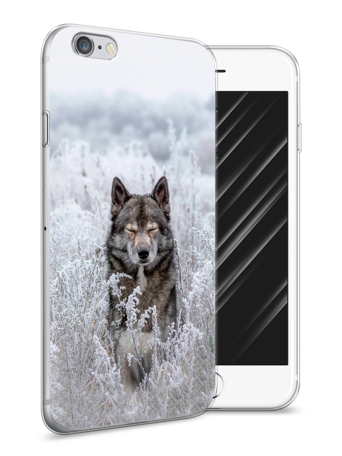 

Чехол Awog на Apple iPhone 6S / Айфон 6S "Волк в поле", Разноцветный, 0104S50-1