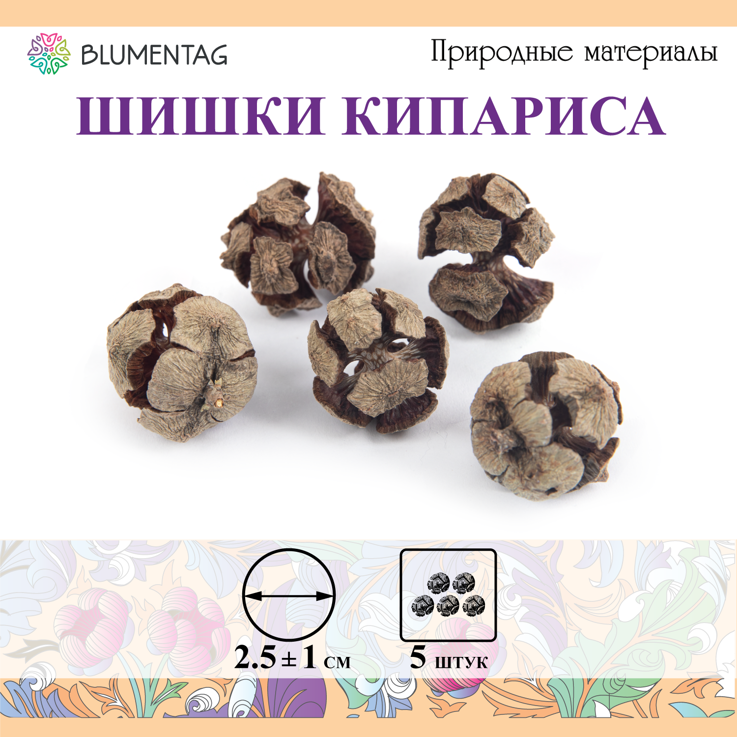 Шишки для декора, поделок 5 шт. Blumentag PIF-10, 01 Кипарис