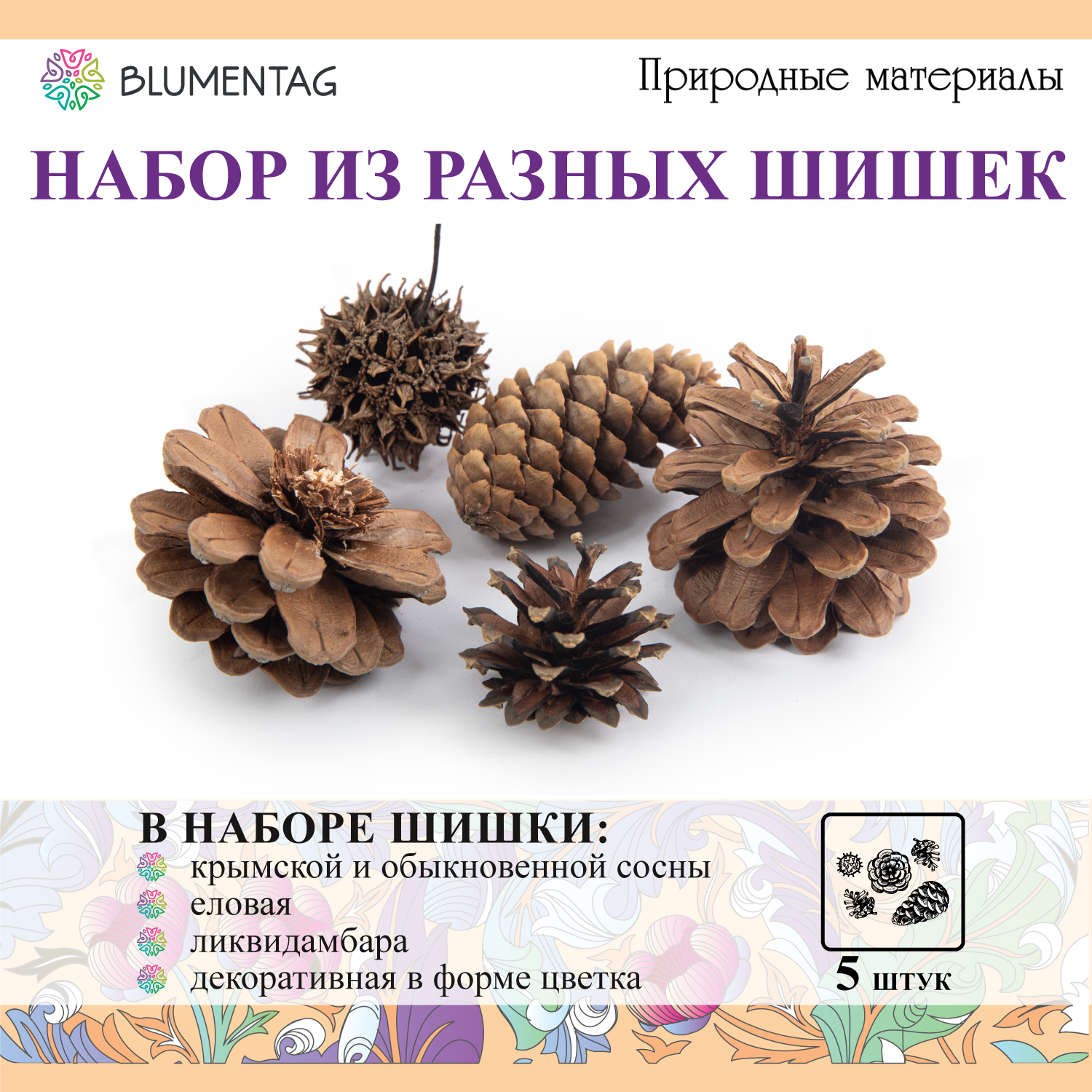 

Шишки для декора, поделок Blumentag NPIF-02 Микс 5 шт. 60 г, Коричневый, NPIF-02