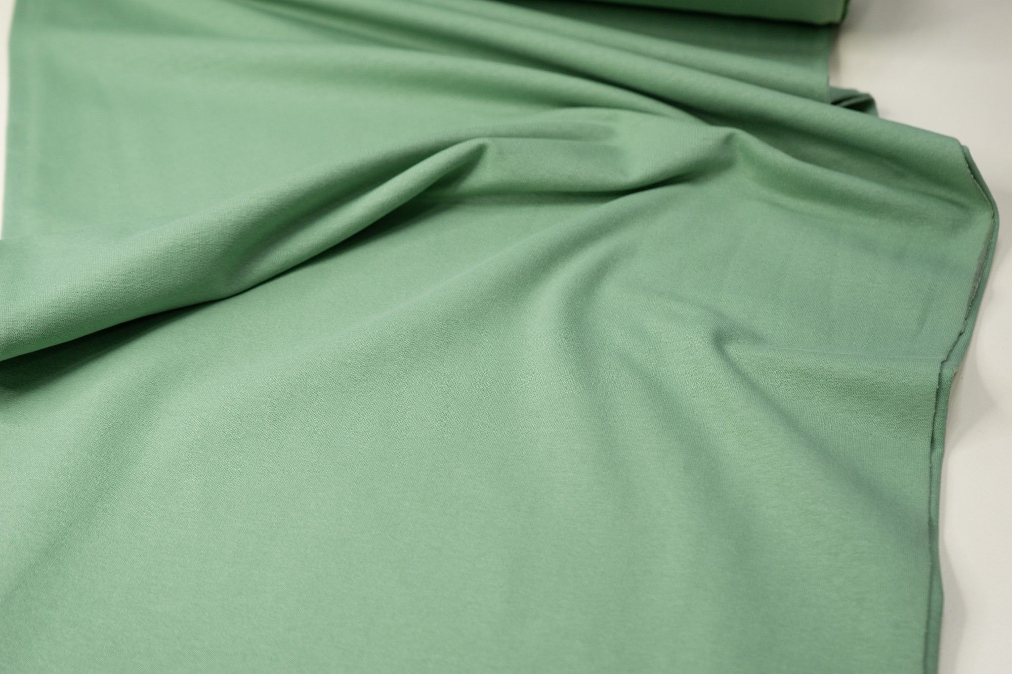 

Ткань UNOFABRIC D92266 Футер двухнитка фисташка. Ткань для шитья 100x190 см, Зеленый