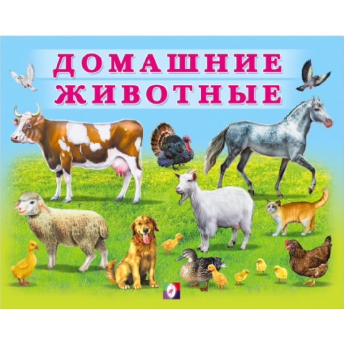 

Книга Домашние животные, Учим малыша