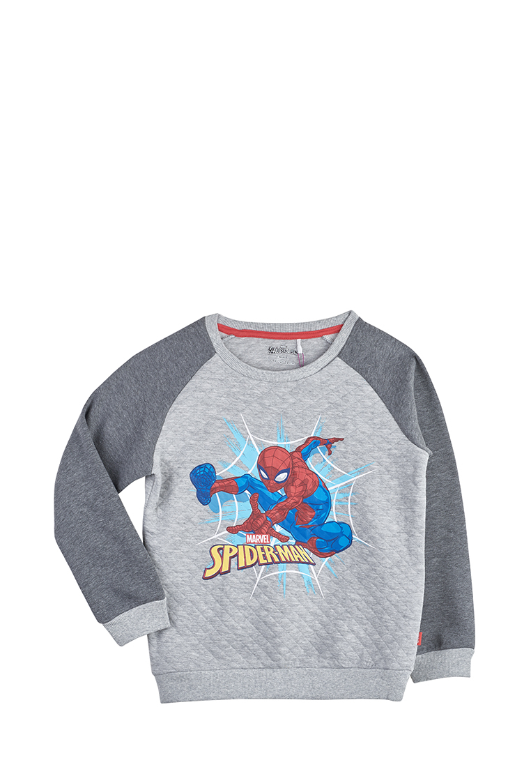 фото Толстовка детская spider-man aw19sp2003143 серый р.116