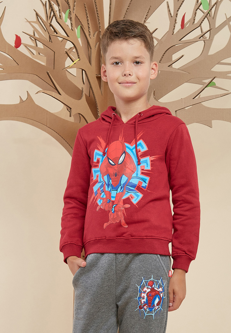 фото Толстовка детская spider-man aw19sp1003143 бордовый р.122