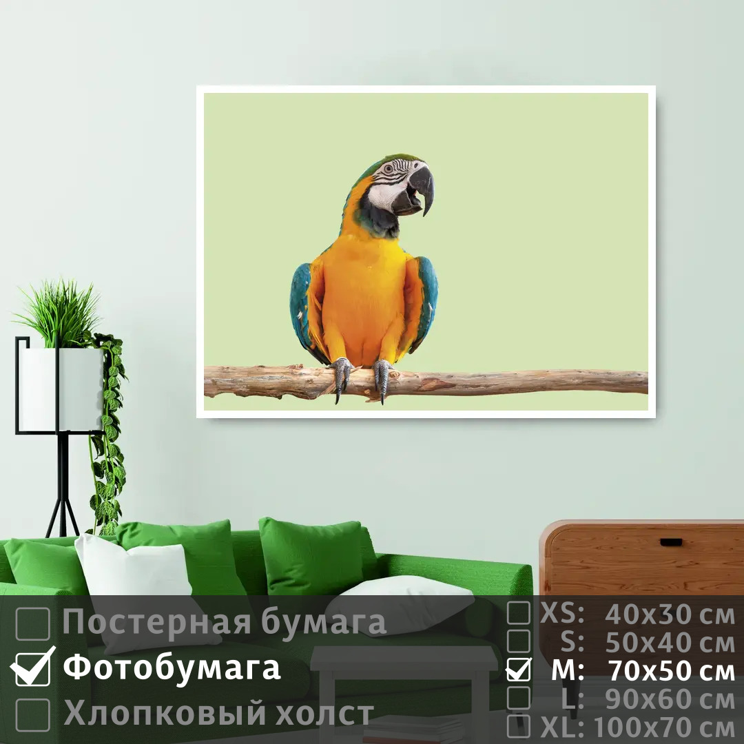 

Постер на фотобумаге ПолиЦентр Яркий попугай ара на ветке 70х50 см, ЯркийПопугайАраНаВетке