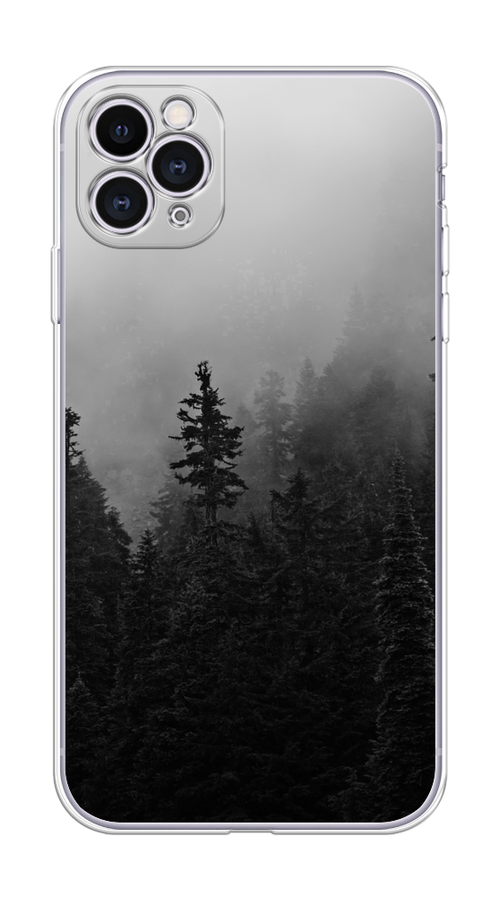 

Чехол на Apple iPhone 11 Pro "Туманный лес", Серый;черный, 12350-2