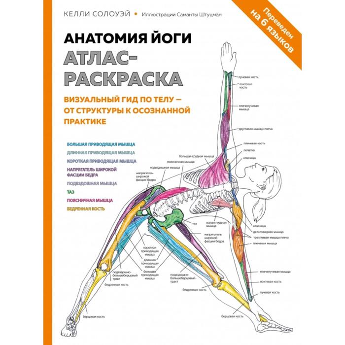 

Анатомия йоги: атлас-раскраска. Визуальный гид по телу — от структуры к осознанной практик, Медицинский атлас
