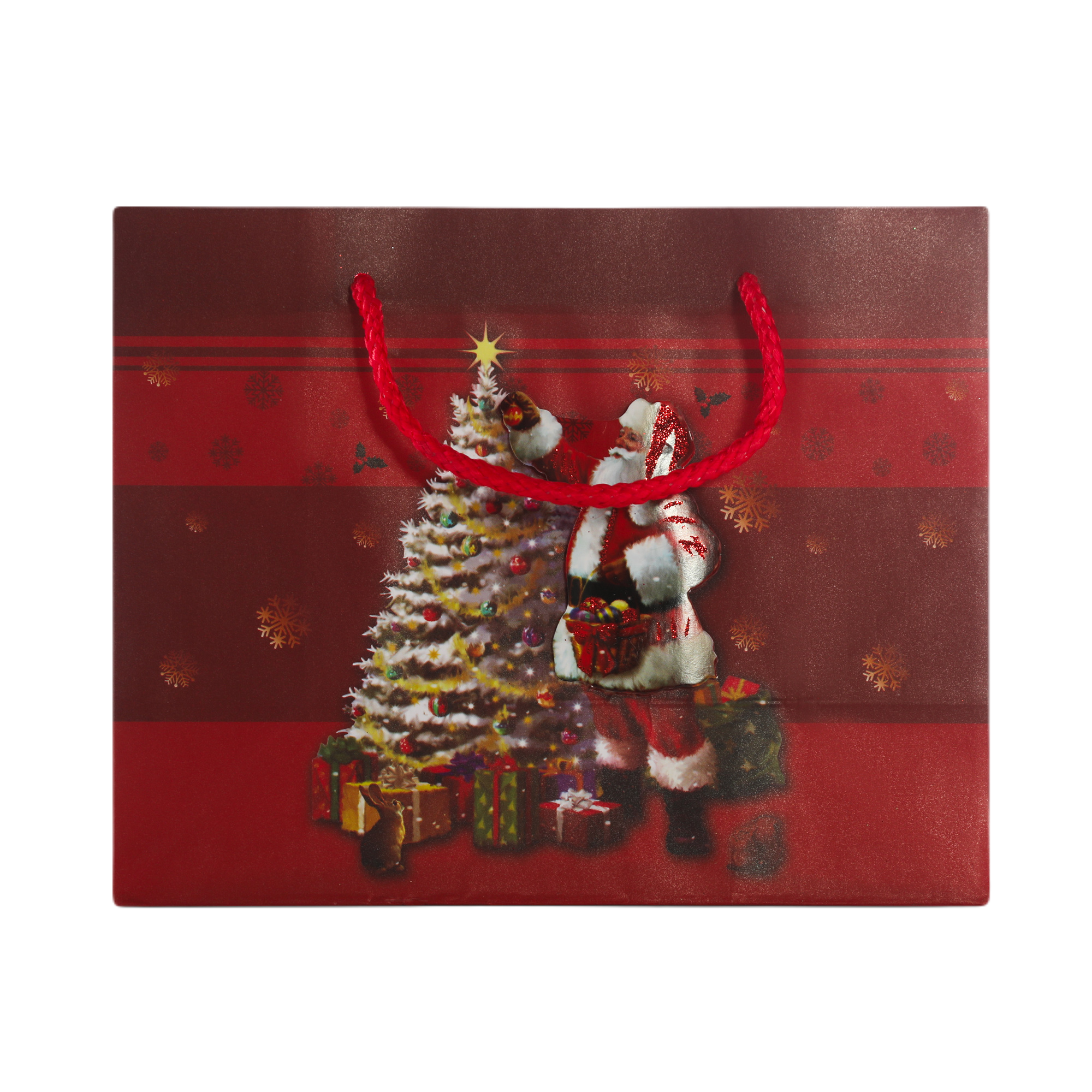 Пакет 18 x 10 x 23 см Due Esse Christmas Babbo natale 3D