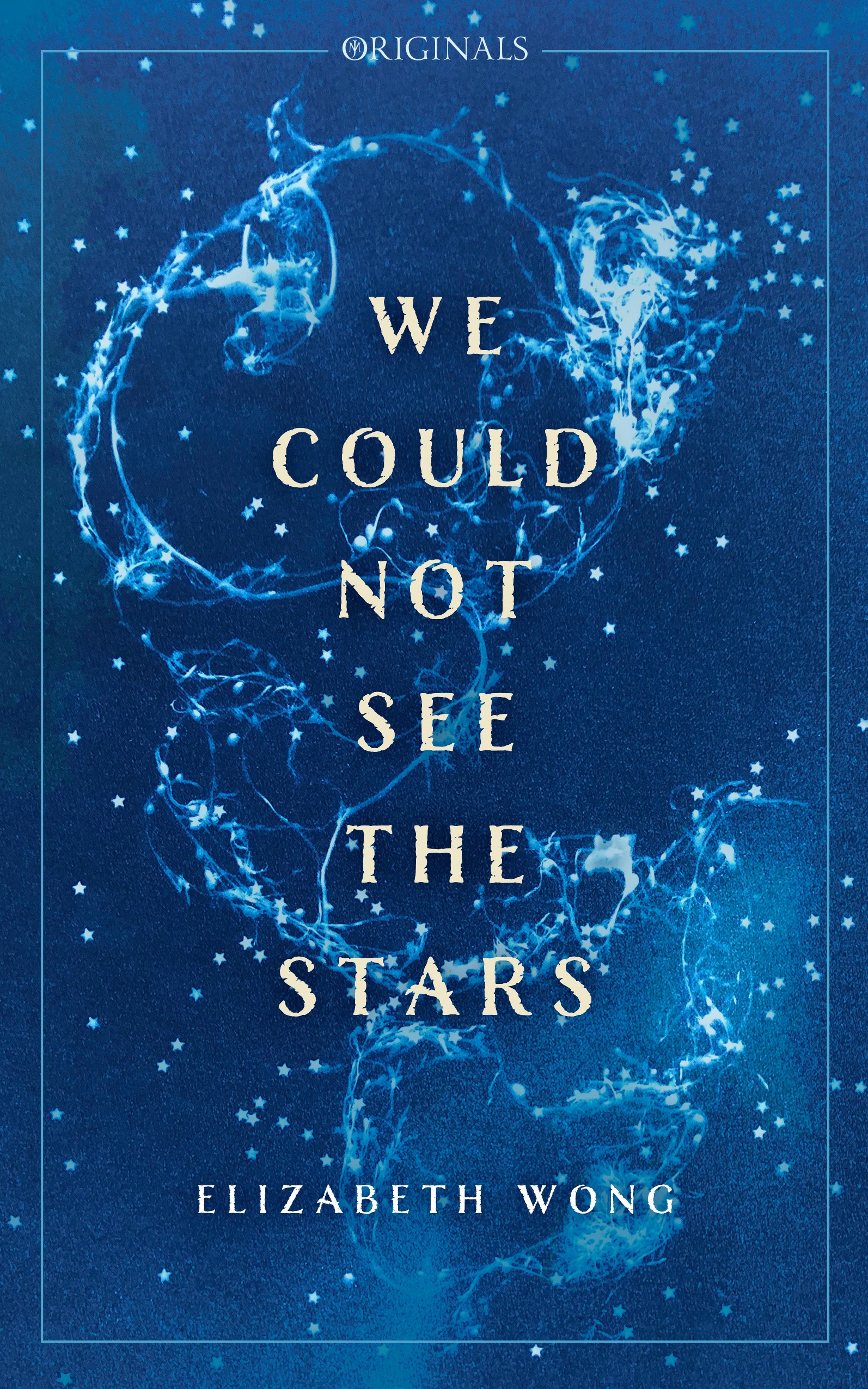 

We Could Not See the Stars