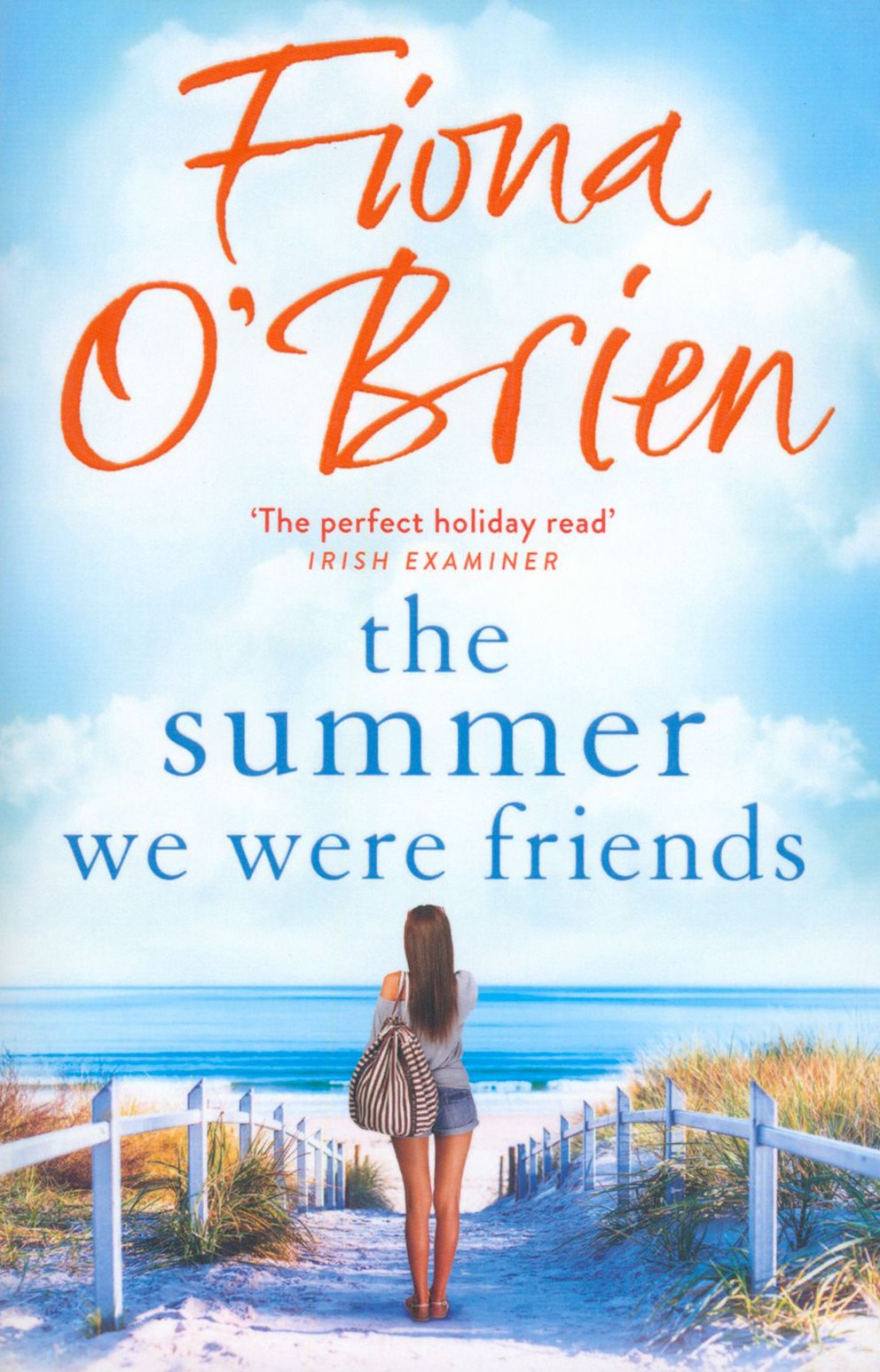 

The Summer We Were Friends