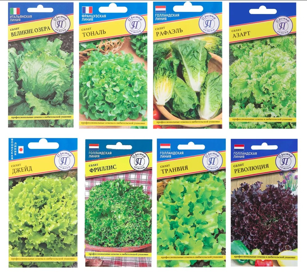 

Набор семян листового салата NoBrand k13897566/83227110/82107788/83520050, k13897566/83227110/82107788/83520050