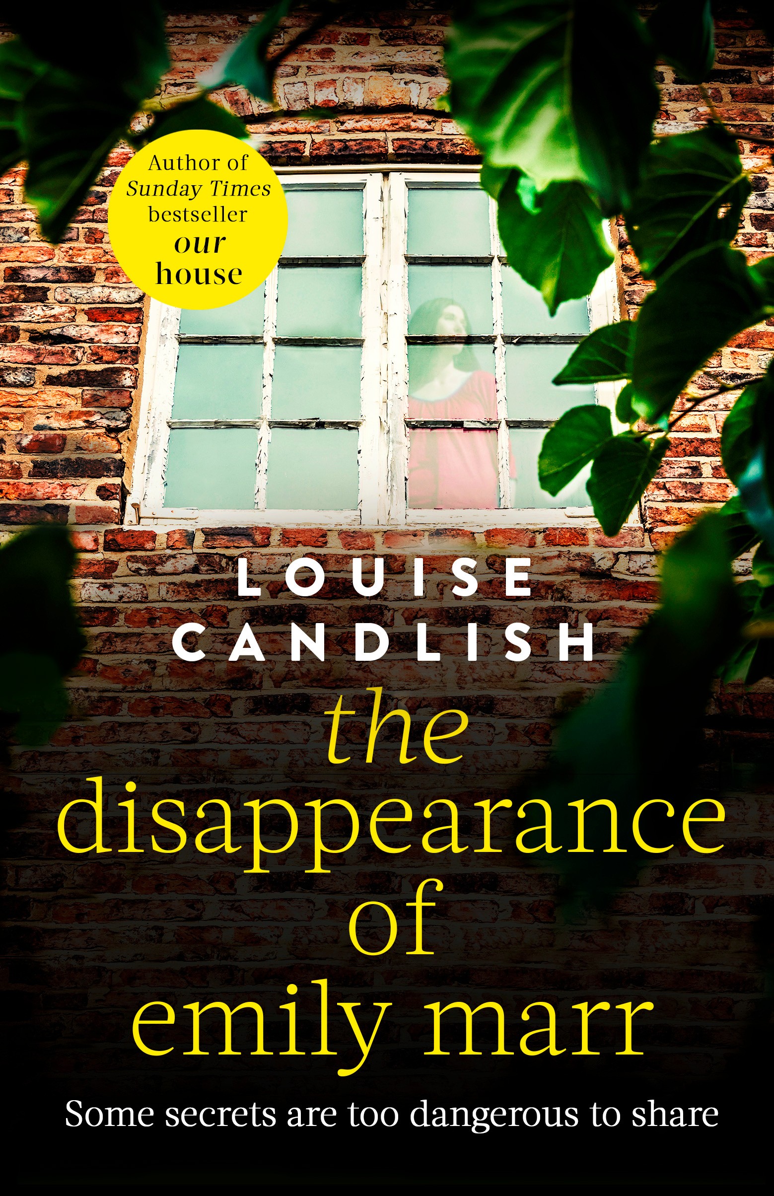 

The Disappearance of Emily Marr