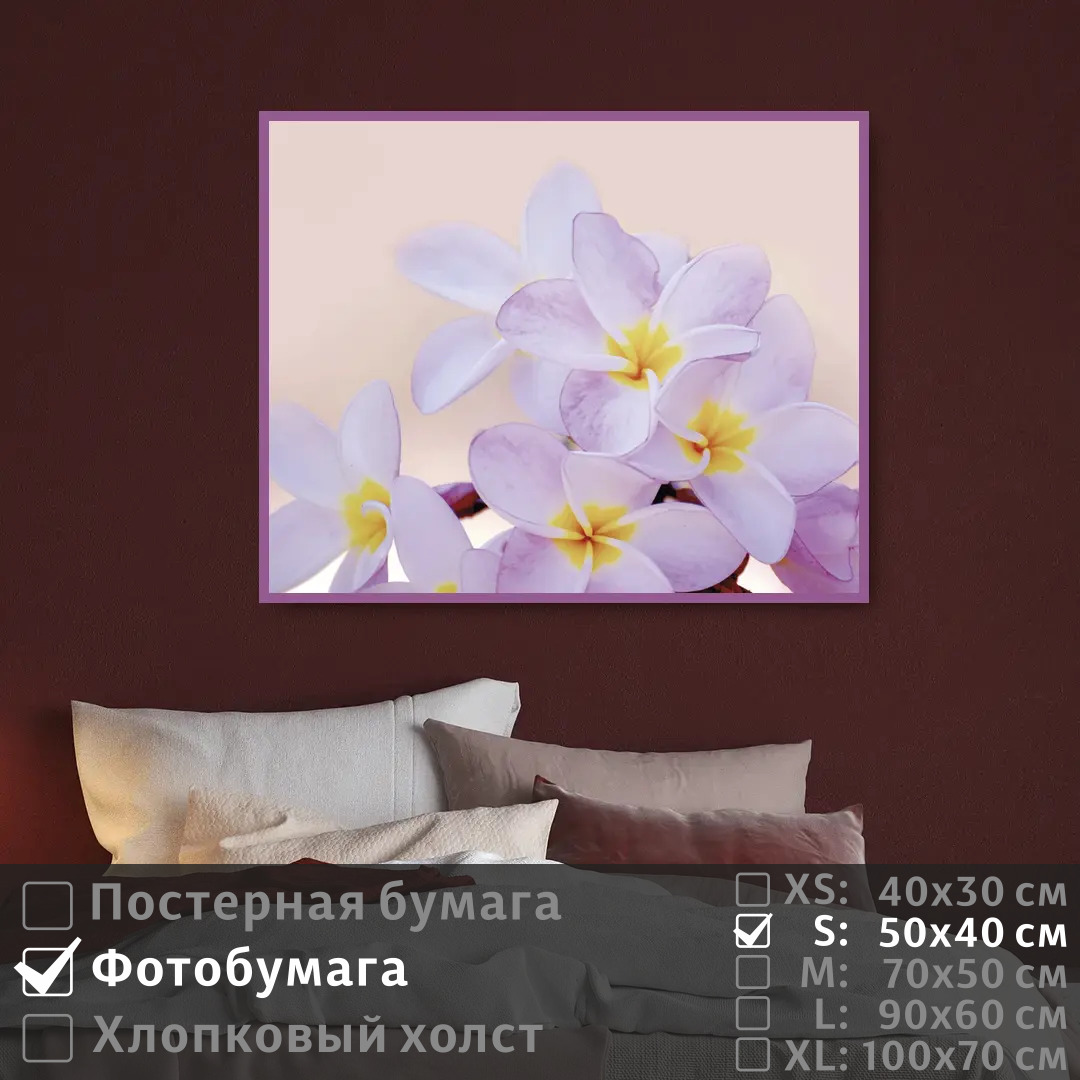 

Постер на фотобумаге ПолиЦентр Нежные тропические цветы 50х40 см, НежныеТропическиеЦветы