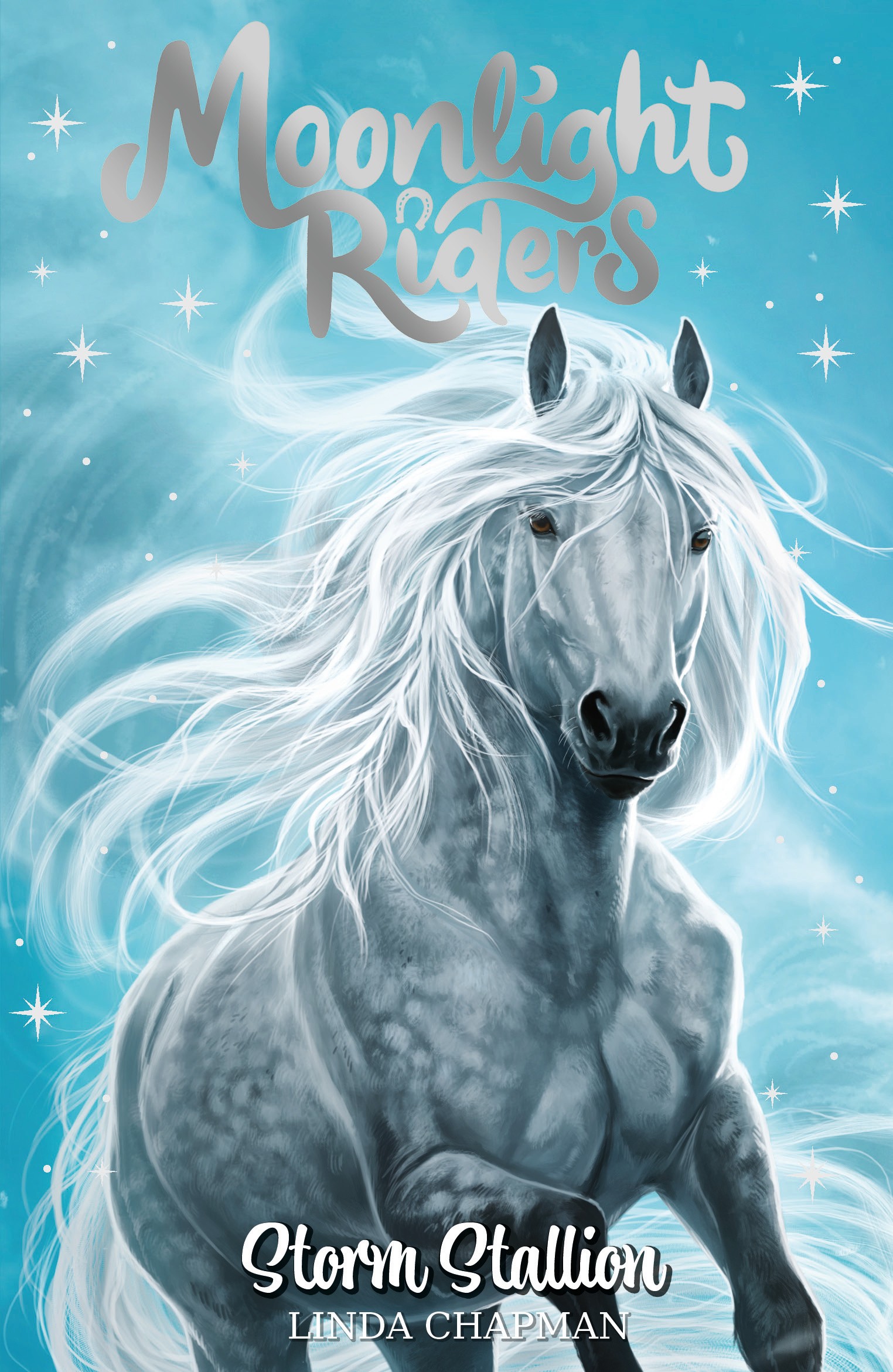 

Storm Stallion
