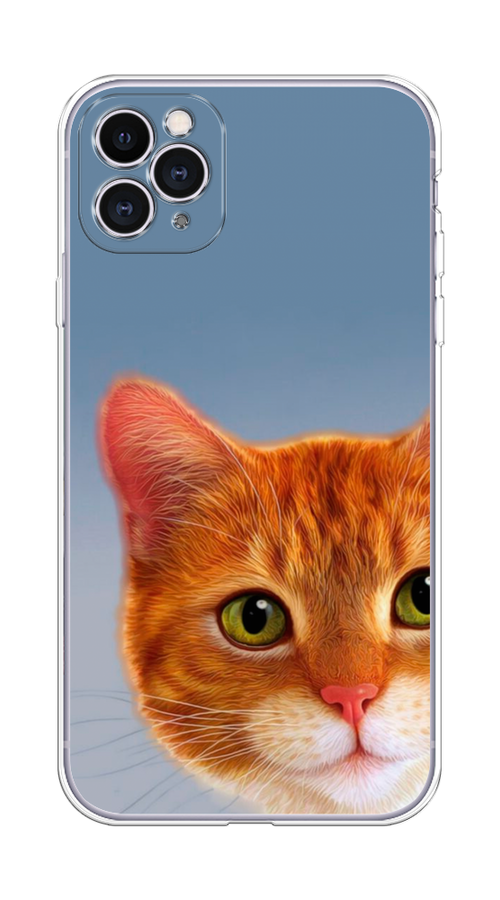 

Чехол на Apple iPhone 11 Pro Max "Любопытный котик", Коричневый, 12250-1