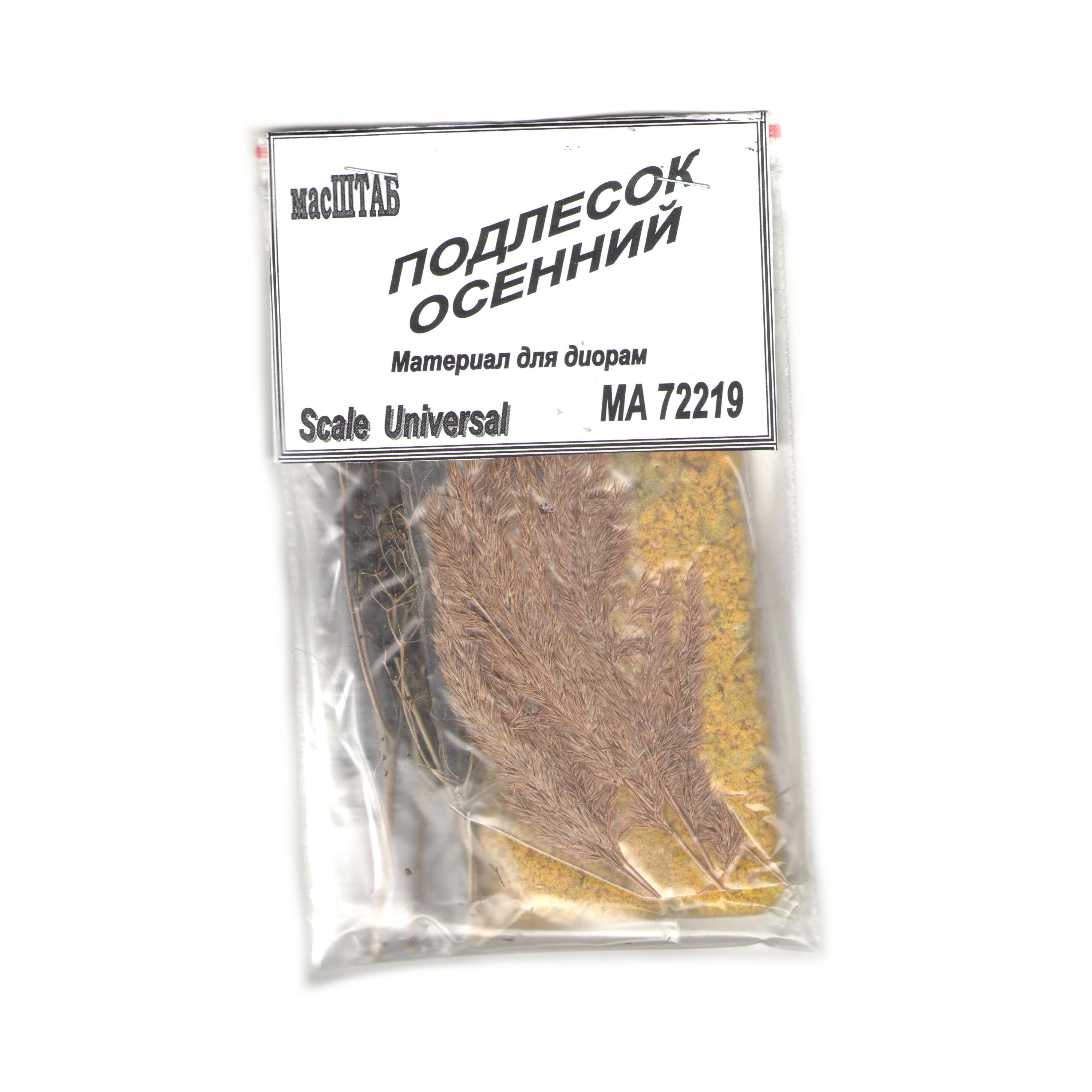 

72219 Подлесок осенний