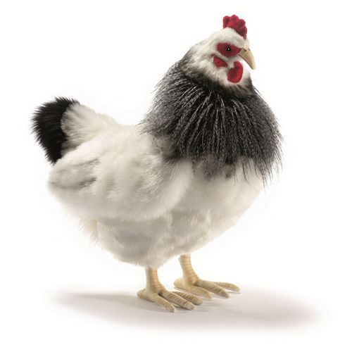 

Игрушка КУРИЦА ФРАНЦУЗСКАЯ, 38 см, HANSA