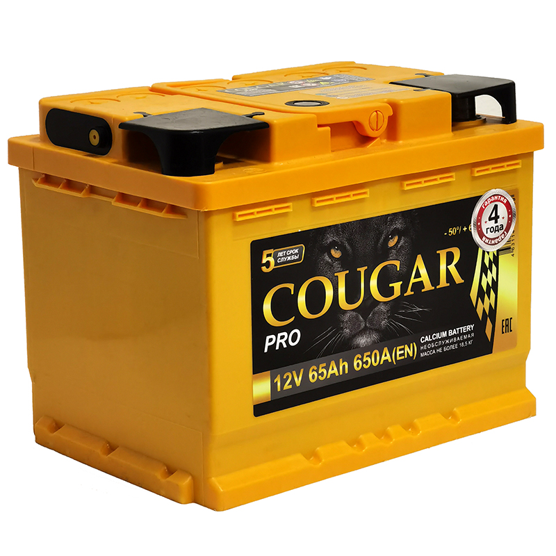 Аккумулятор автомобильный COUGAR PRO 65Ач L+ EN650 242*175*190 B13