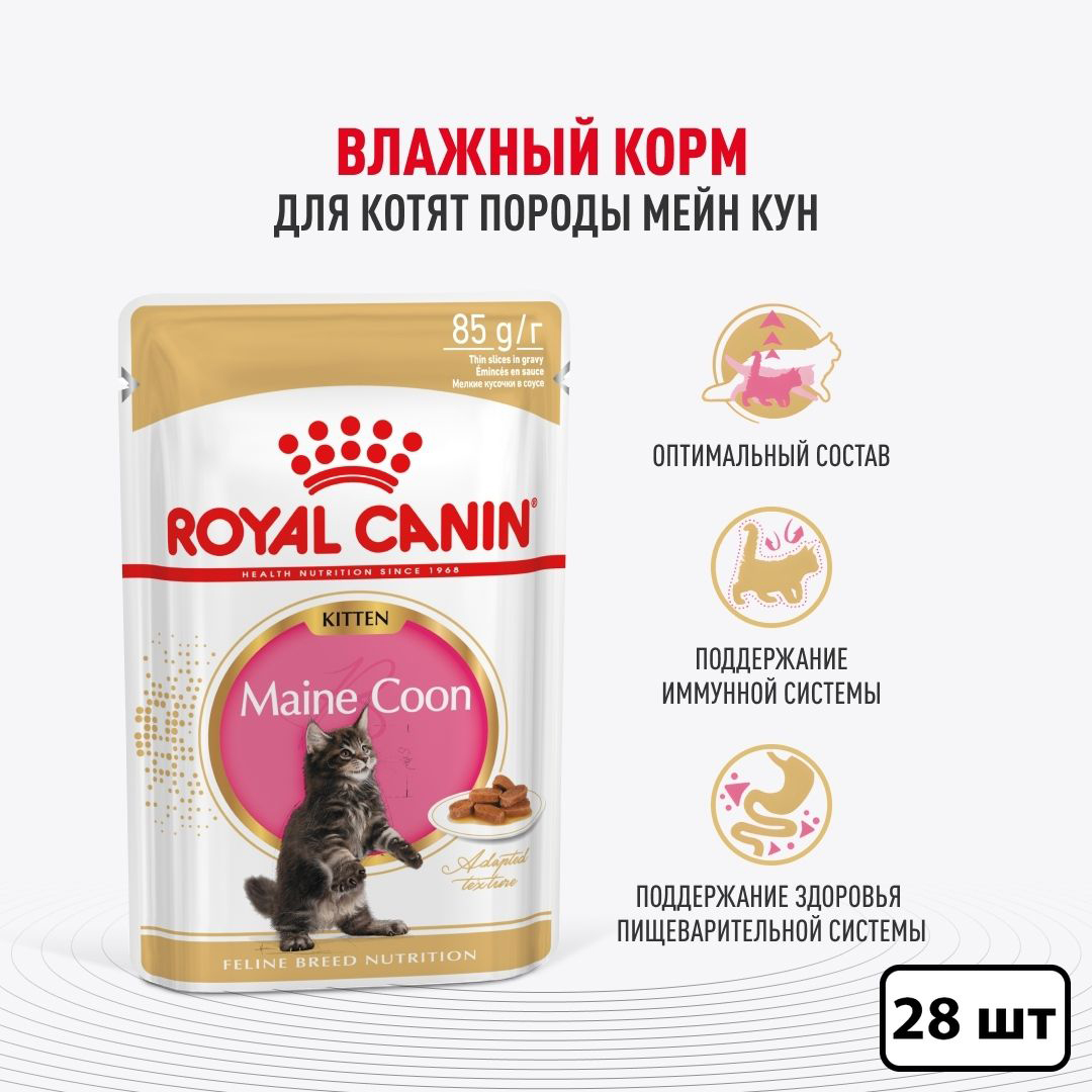 Влажный корм для котят Royal Canin, для породы Мэйн Кун, кусочки в соусе, 28 шт по 85 гр