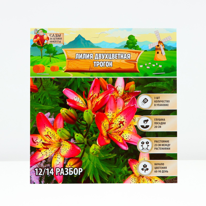 Луковицы цветов Лилия Двухцветная Trogon р-р 12/14 Сады Дедушки Никиты 3 шт