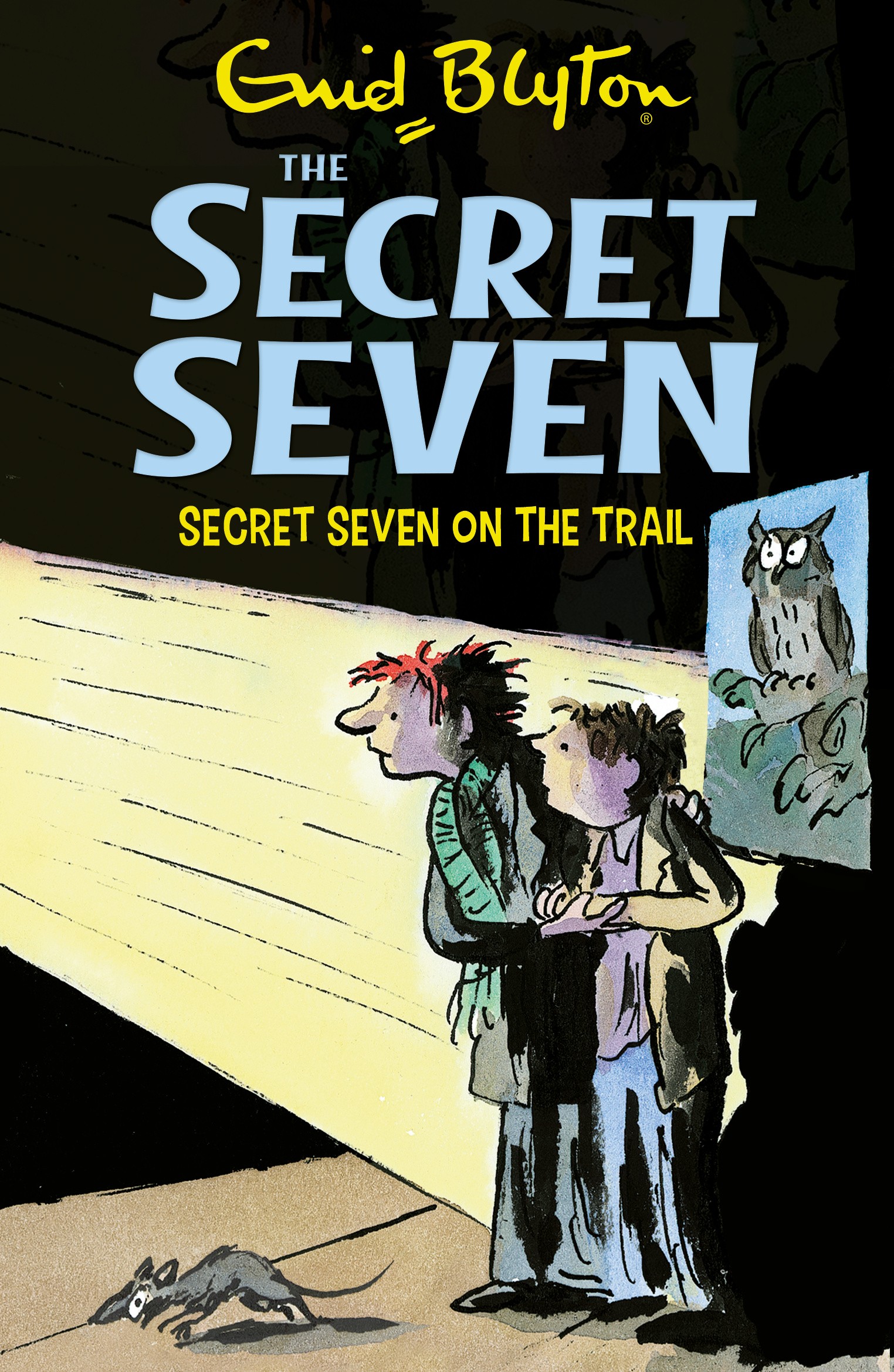 

Secret Seven On The Trail