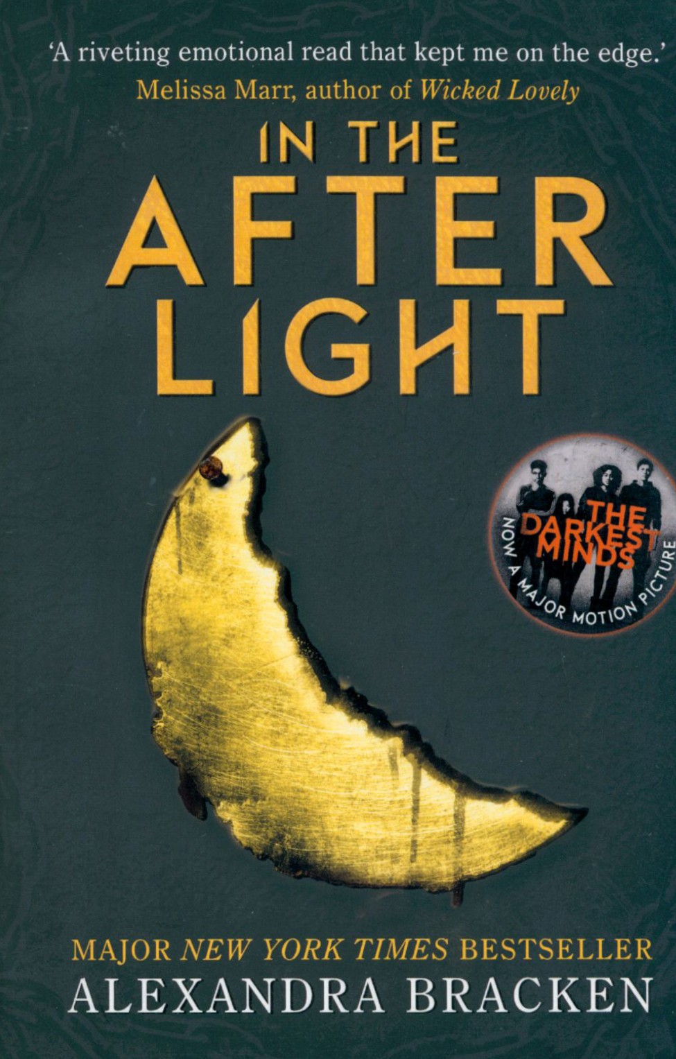

In the Afterlight