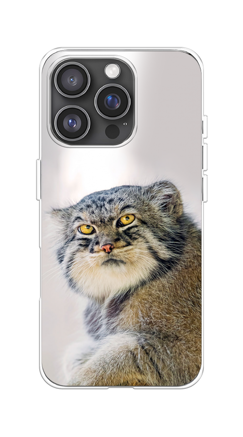 

Чехол на Apple iPhone 16 Pro "Кот манул 1", Серый;белый;желтый, 16250-1