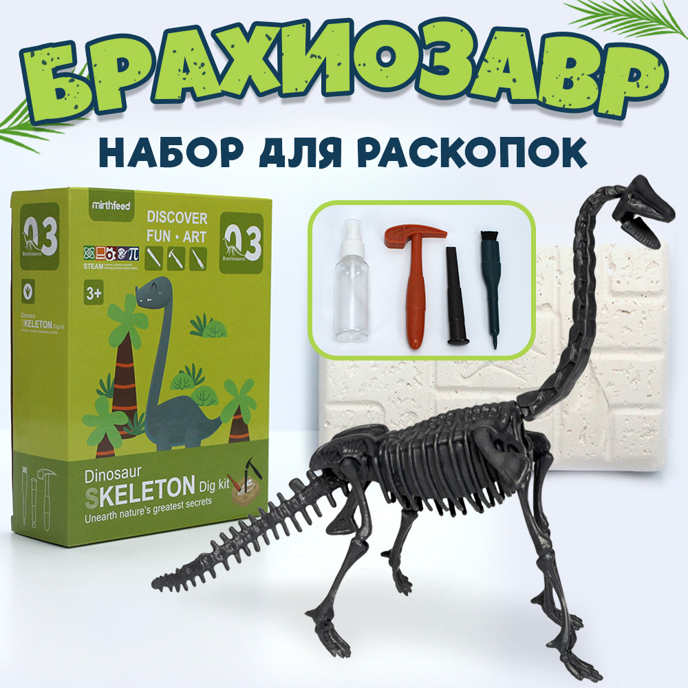 

Исторические раскопки Брахиозавр