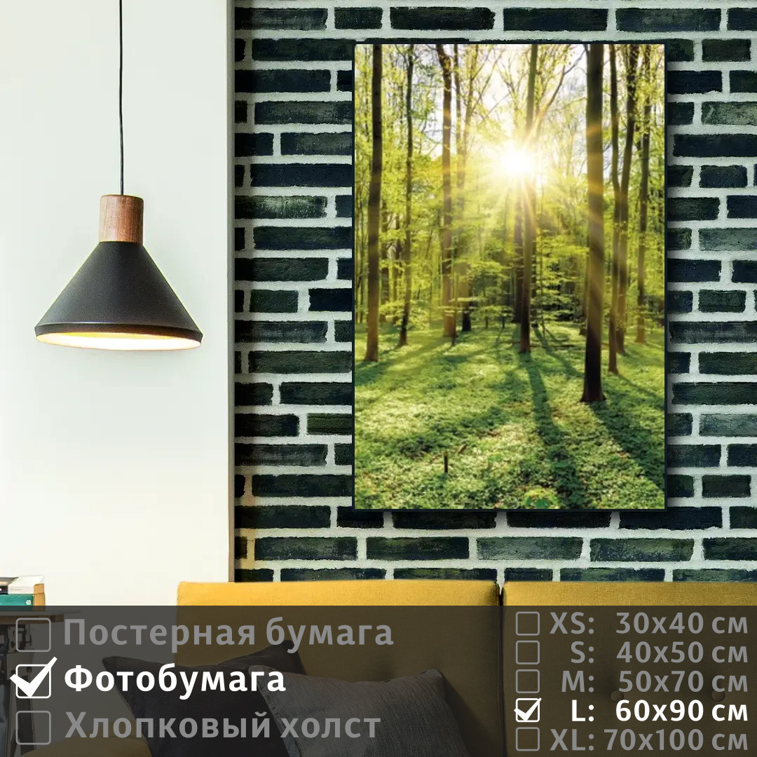 

Постер на фотобумаге ПолиЦентр Лучи утреннего солнца в весеннем лесу 60х90 см, ЛучиУтреннегоСолнцаВВесеннемЛесу