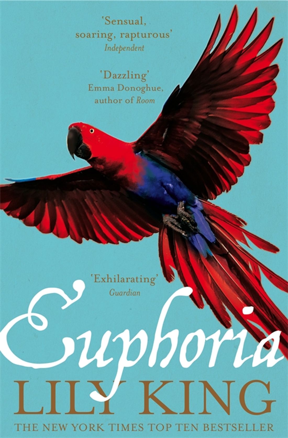 

Euphoria