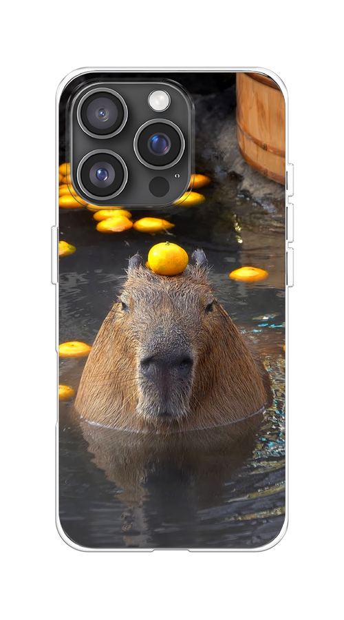

Чехол на Apple iPhone 16 Pro "Капибара отдыхает", Коричневый;оранжевый;серый, 16250-1