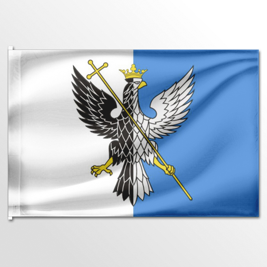 

Флаг ЦТП ФЕНИКС Большечерниговского района 135x90 см, 2400-135x90