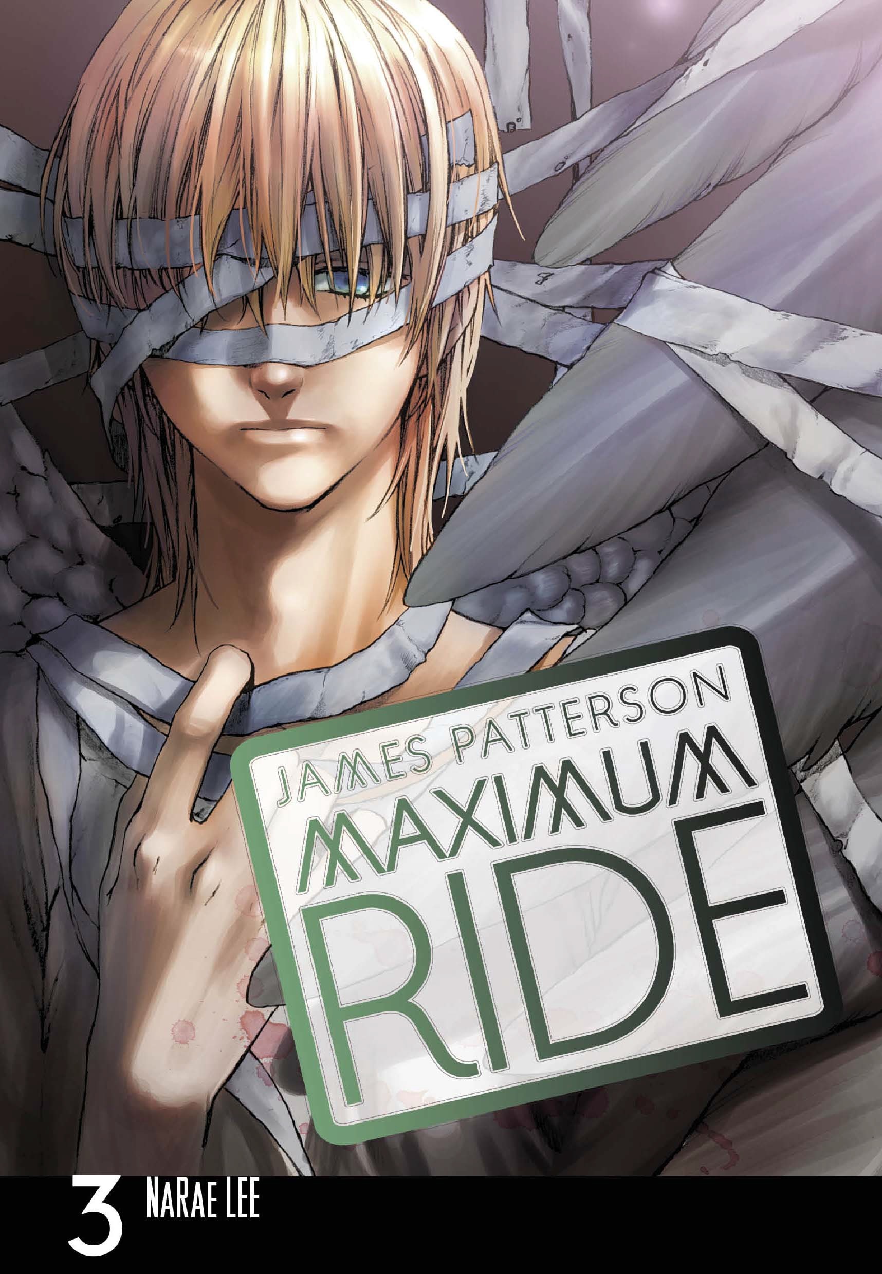 

Maximum Ride Volume 3